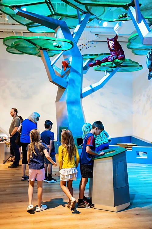 Exhibitions at idea museum