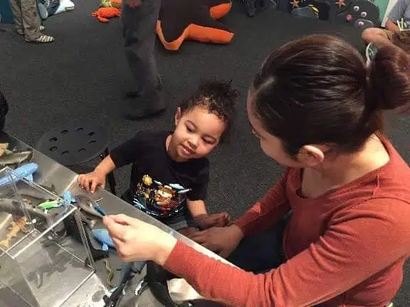 What We Do  at idea Museum