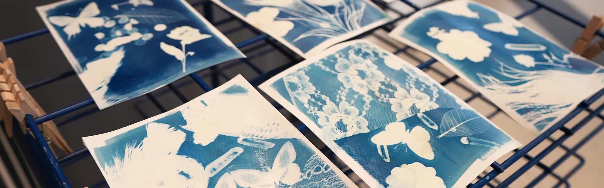 Shapes and Sunlight : Cyanotype Workshop