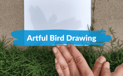 Artful bird drawings